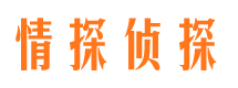 仪征寻人公司